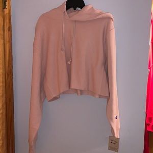 Champion reverse weave hoodie, Size Large, never worn.